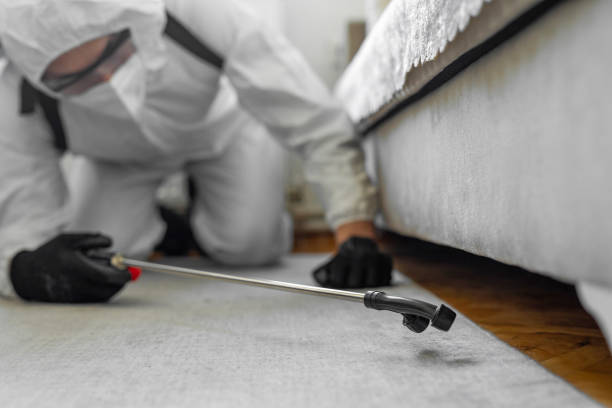 Professional Emergency Pest Control technician working in South Gate Ridge, FL