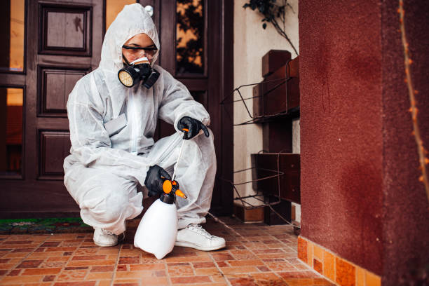 Reliable Emergency Pest Control contractor in South Gate Ridge, FL by Nex Pest Control