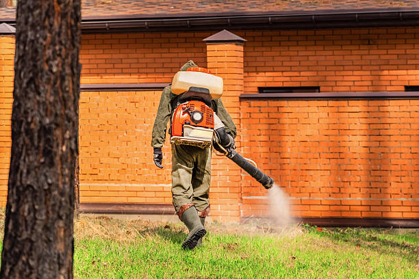 Trusted Ant Control service in South Gate Ridge, FL - Nex Pest Control